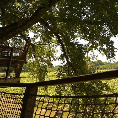 Cabanes De La Romaningue Pompignac Екстериор снимка